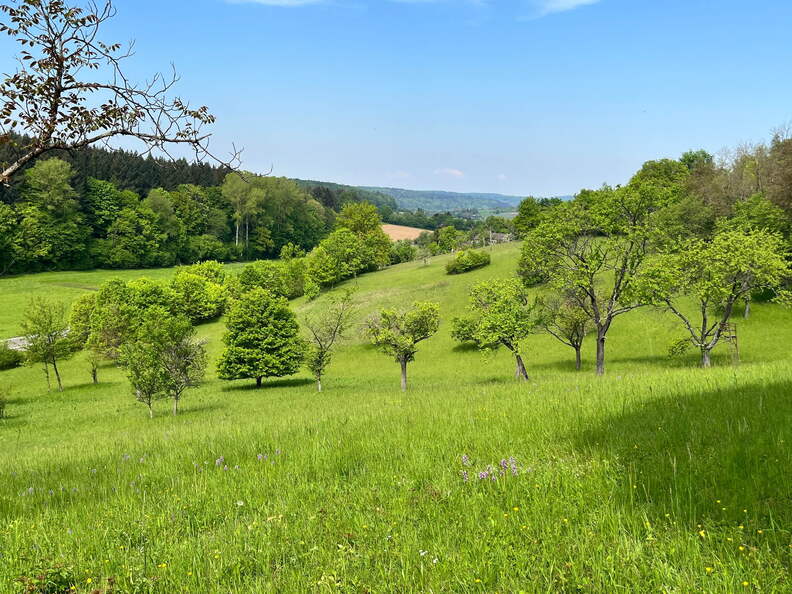 22-05-08 11-25-04 0769